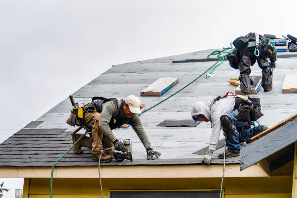 Professional Storm Damage Roof Repair technician working in Crossville, IL